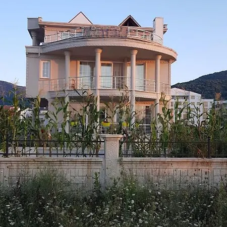 Villa Luxury 50 M To Beach In Çınarcık