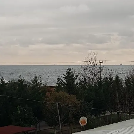 Luxury 50 M To Beach In Villa *